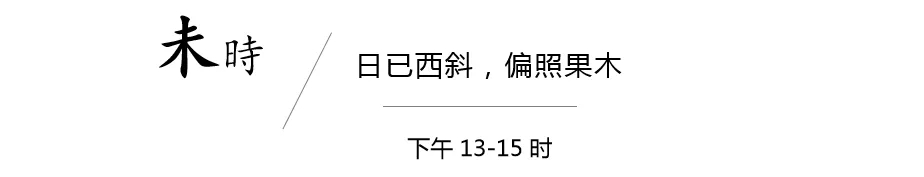 3.webp.jpg