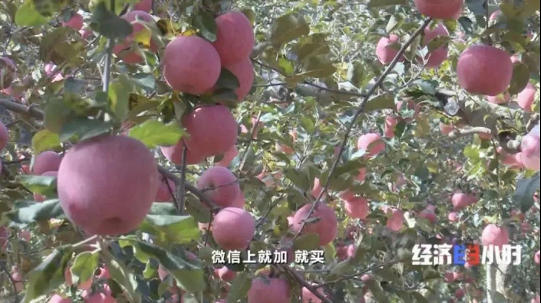 微信图片_20201123112142.jpg