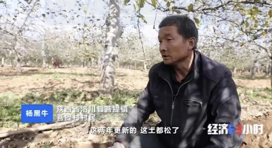 微信图片_202011231121434.jpg