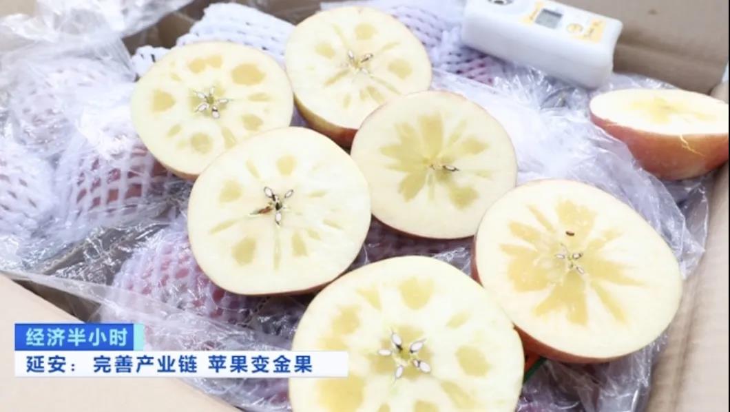 微信图片_202011231121436.jpg