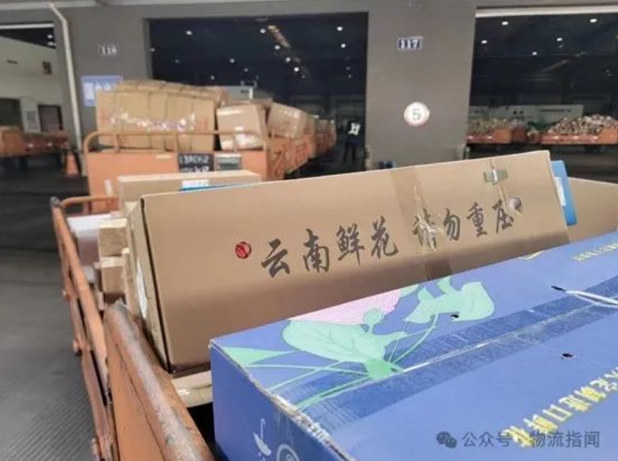 微信截图_20240516120337.png