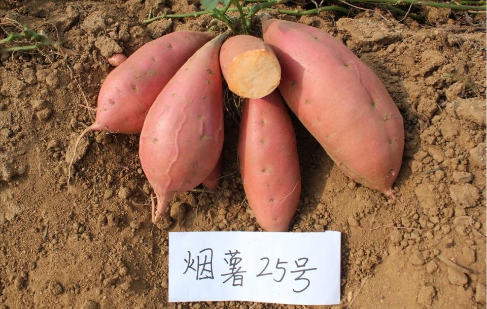 微信截图_20250413154457.png