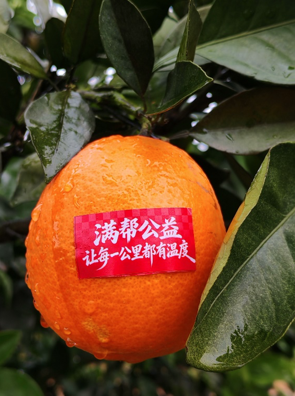 截屏2026-01-27 上午10.19.58.png